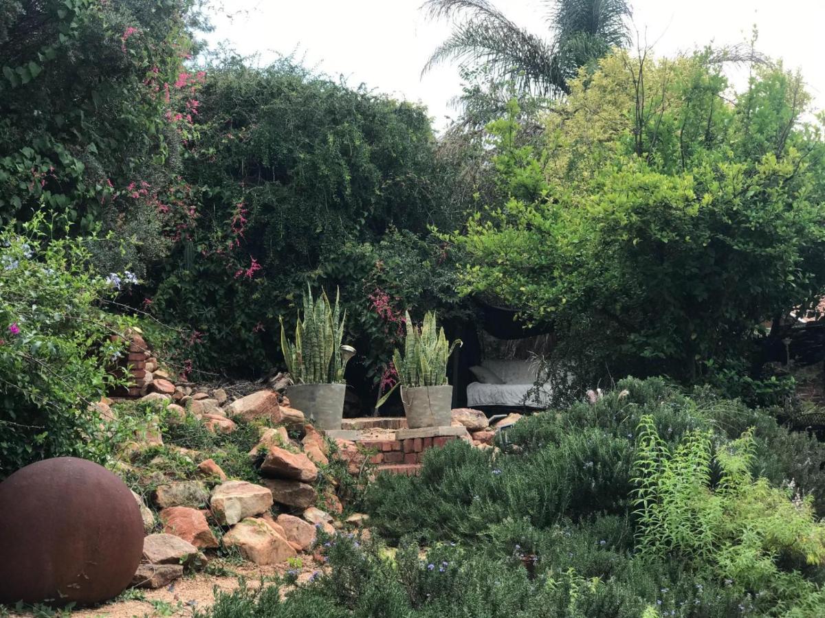 Aloe Guesthouse Klerksdorp Extérieur photo