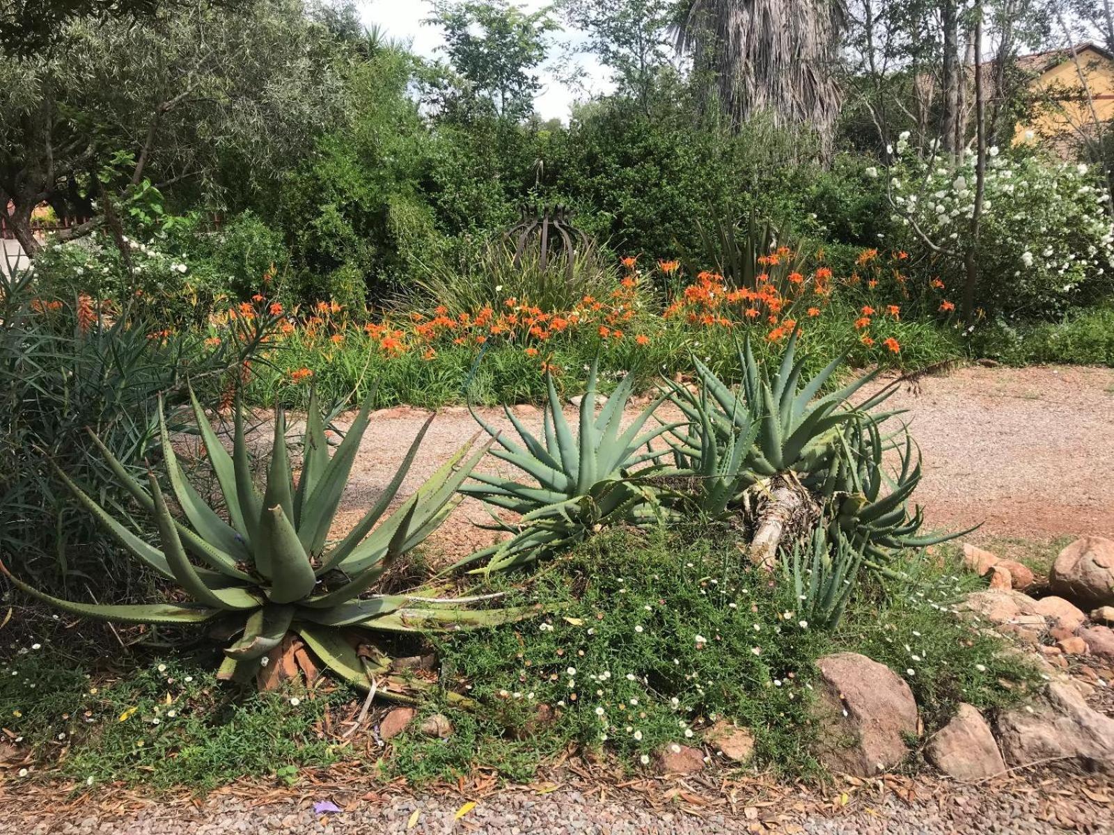 Aloe Guesthouse Klerksdorp Extérieur photo